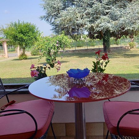 B & B Cedro Argentato Legnago Exterior foto