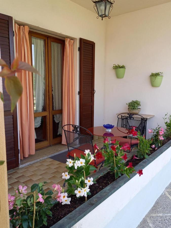 B & B Cedro Argentato Legnago Exterior foto
